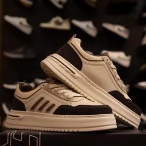 Exclusive Premium Sneakers in BD